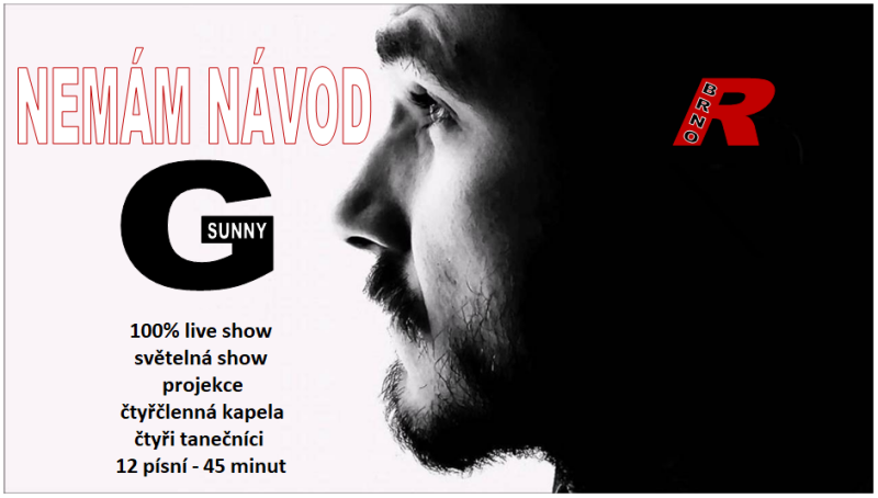 Sunny G - Nemam navod - kopie 2
